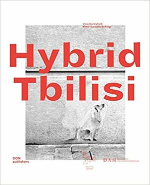 Hybrid Tbilisi \ © DAM