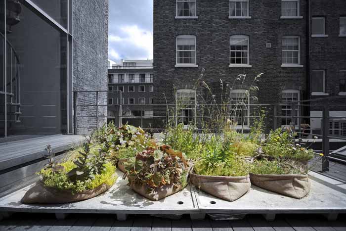 Call for Projects: Einfach Grün – Greening the City