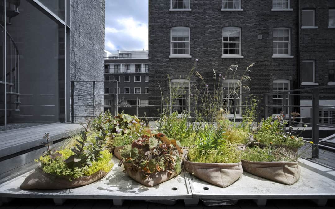 EINFACH GRÜN – Greening the City