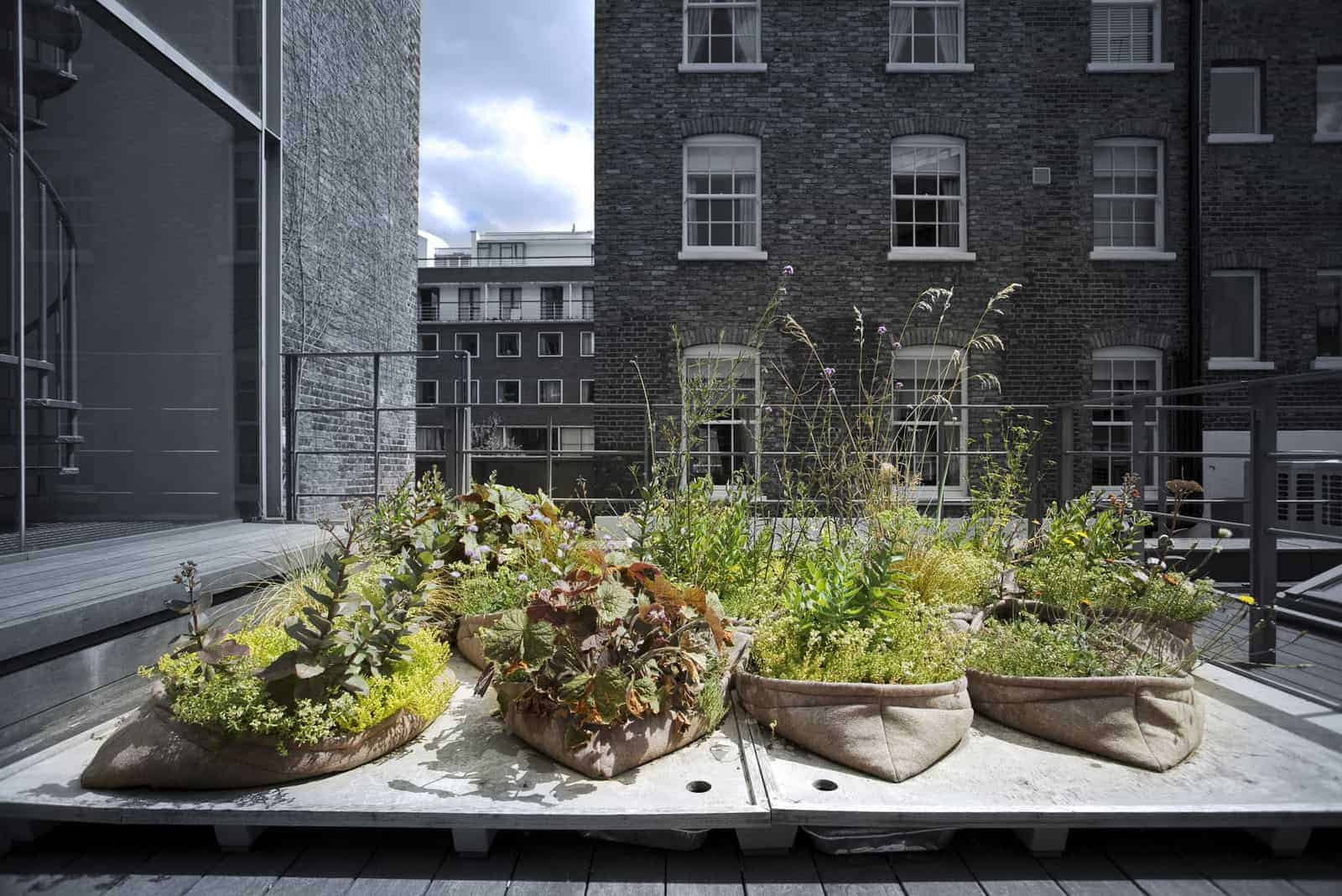DAM Greening the City Pocket – Habitat – Thomas-Graham – Arup