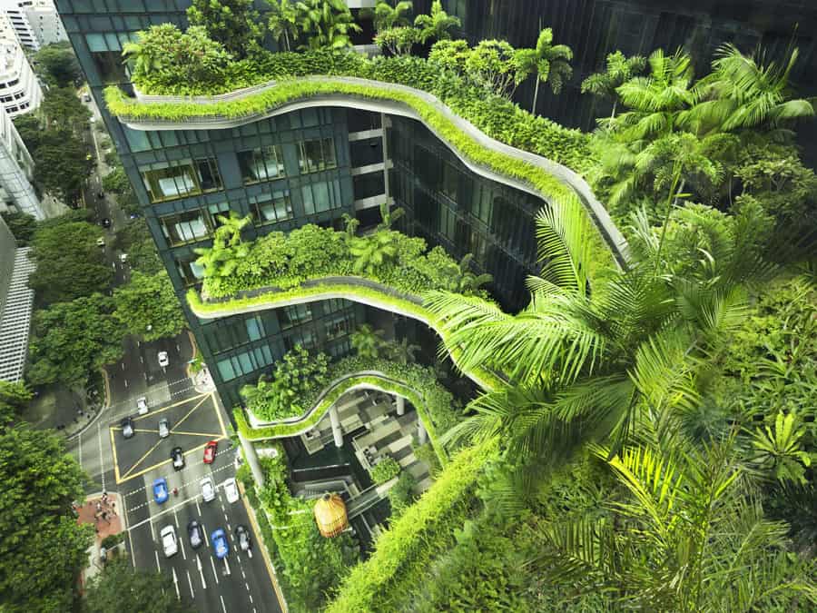 Singapore – City in Nature