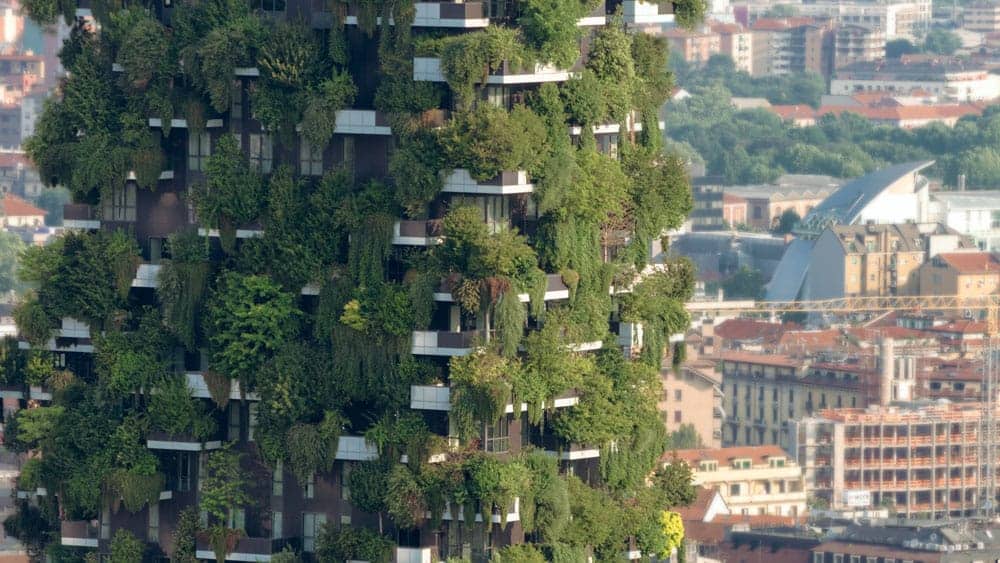 Digitale Führung: Einfach Grün – die Bauten