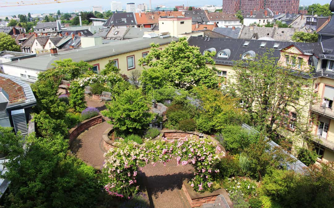 Canceled: DAMobil Grün vor Ort und in Echt — Exkursionen im Raum Frankfurt
