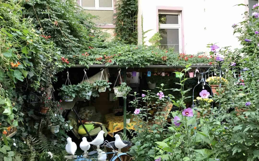 DAMobil Grün vor Ort und in Echt — Exkursionen im Raum Frankfurt