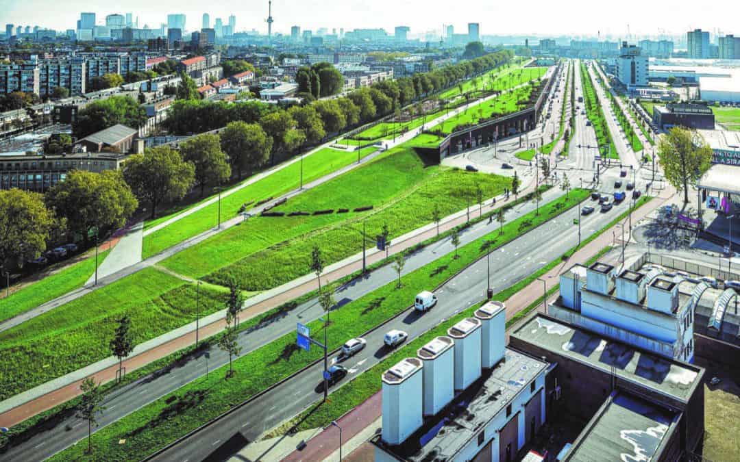 Digitale Führung: Einfach Grün – die Bauten