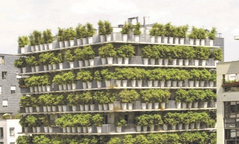 DIGITALE FÜHRUNG: EINFACH GRÜN – DIE BAUTEN