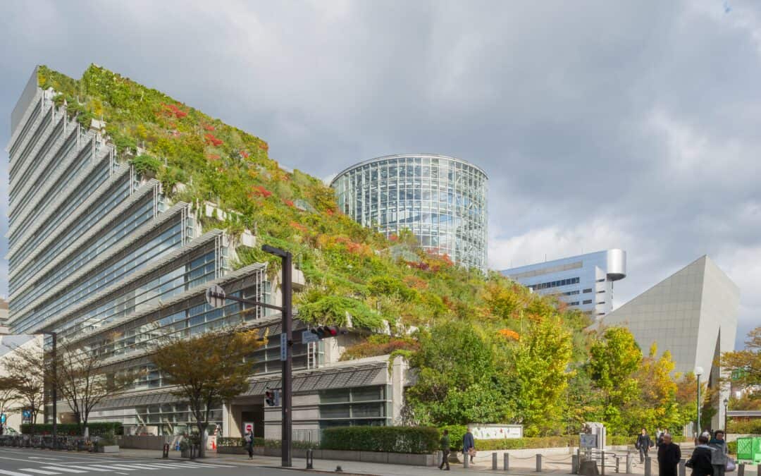 Digitale Führung: Einfach Grün – die Bauten