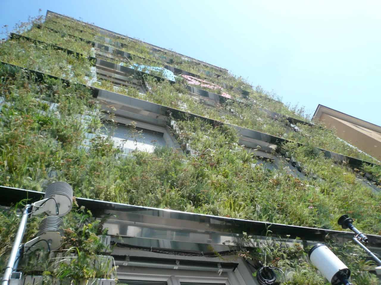 Vertikaler Garten Umweltamt Wien I © Stadt Wien