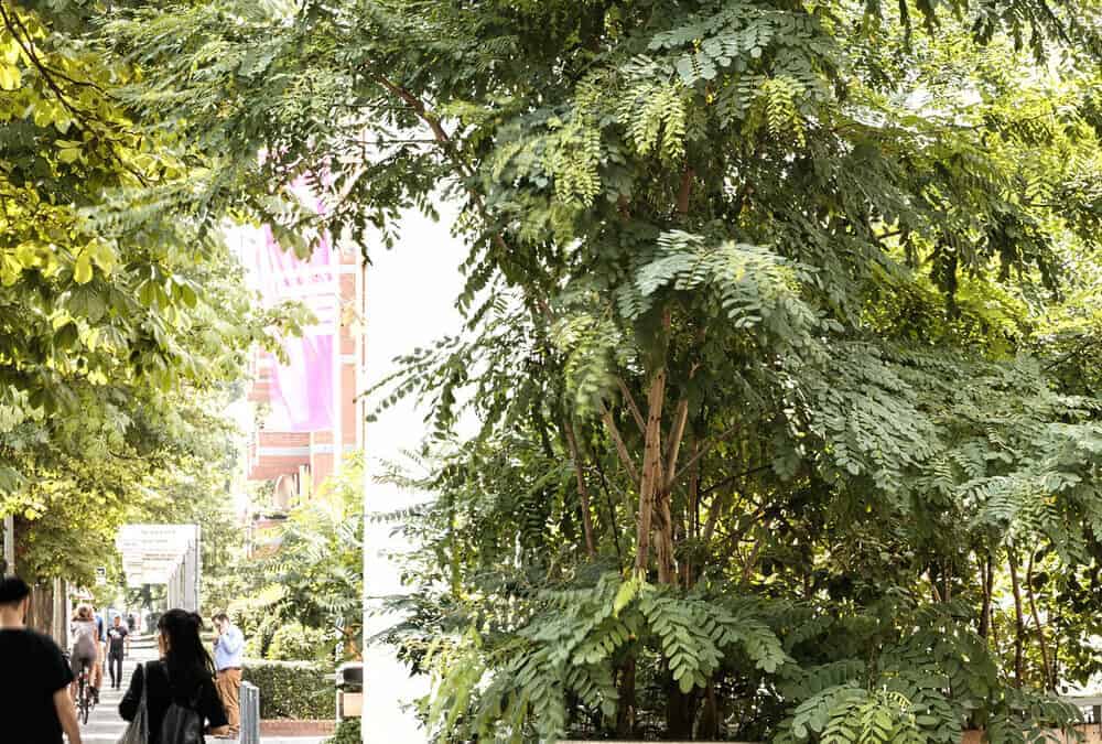 Urban Green #1: Grün machen – Plätze, Fassaden, Straßen