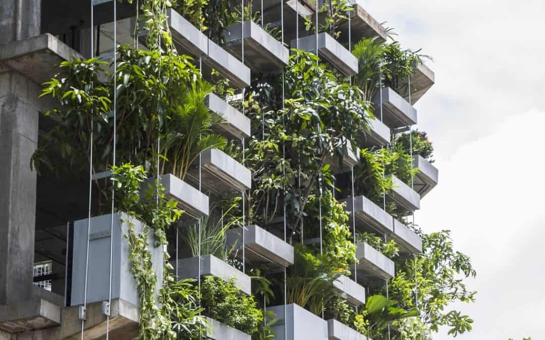 DIGITALE FÜHRUNG: EINFACH GRÜN – DIE BAUTEN