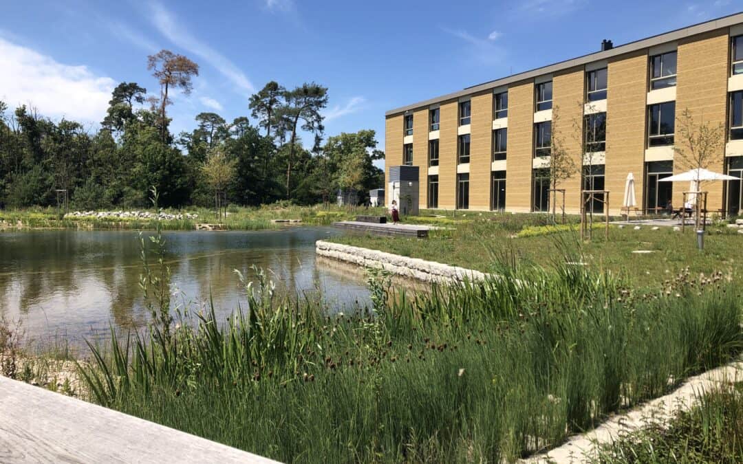 Internationale Landschaftsarchitektur DER AUSTAUSCH ZWISCHEN ARCHITEKTUR UND LANDSCHAFTSARCHITEKTUR: Innen und Außen + 1