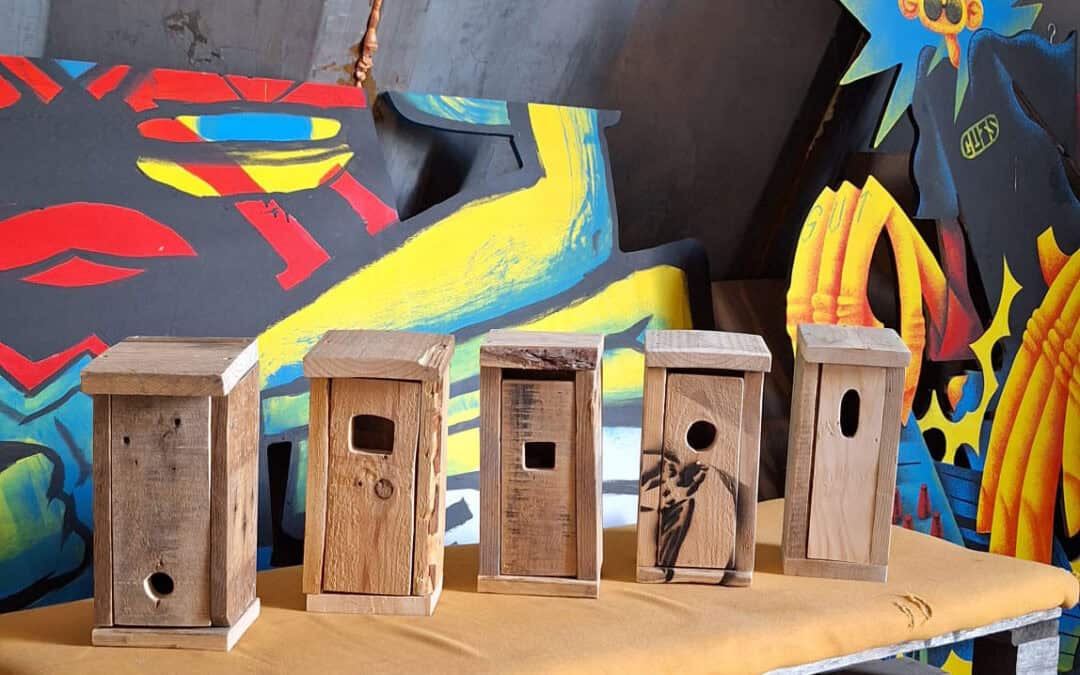 Vogelhaus Bau Workshop