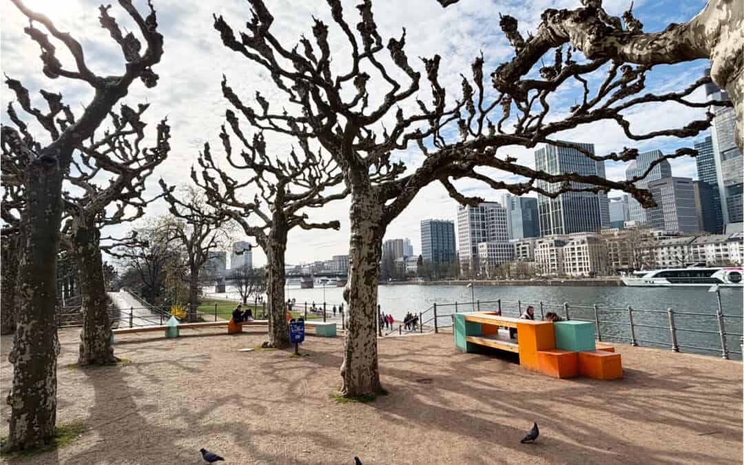 Yoga an der Langen Bank